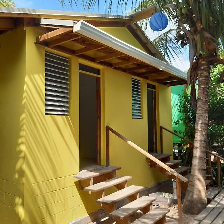 The Funky Dodo Backpackers Hostel هوبكنز المظهر الخارجي الصورة