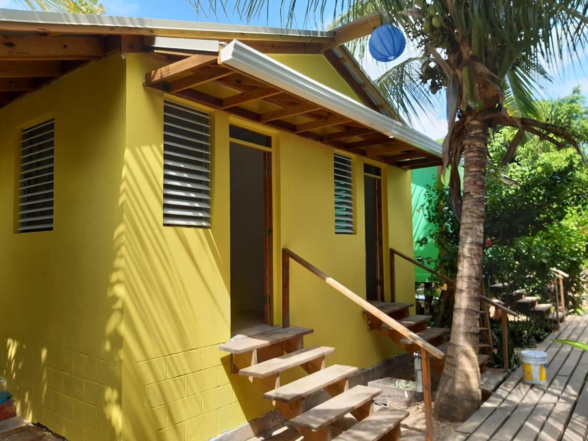 The Funky Dodo Backpackers Hostel هوبكنز المظهر الخارجي الصورة