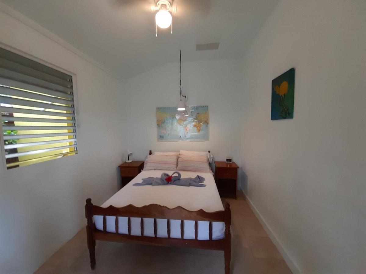 The Funky Dodo Backpackers Hostel هوبكنز المظهر الخارجي الصورة