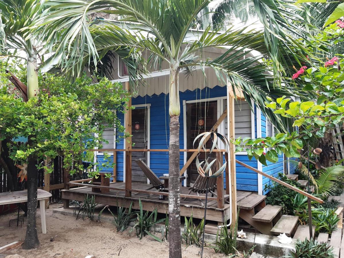The Funky Dodo Backpackers Hostel هوبكنز المظهر الخارجي الصورة