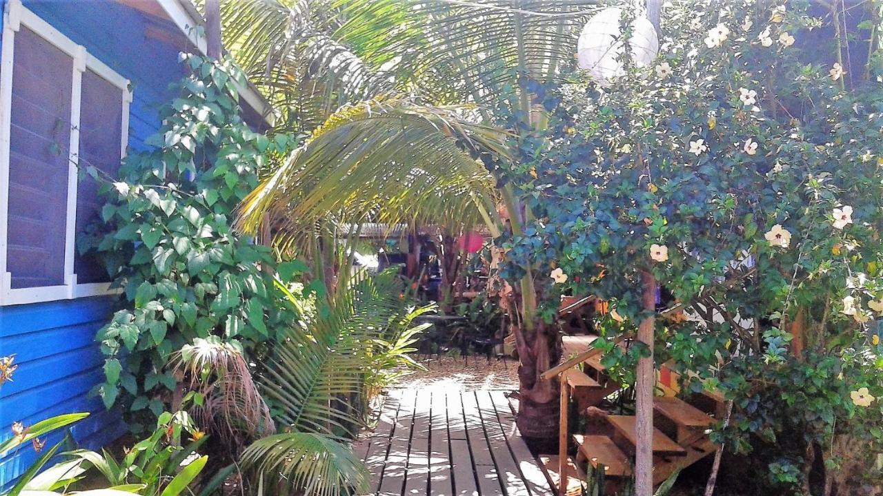 The Funky Dodo Backpackers Hostel هوبكنز المظهر الخارجي الصورة
