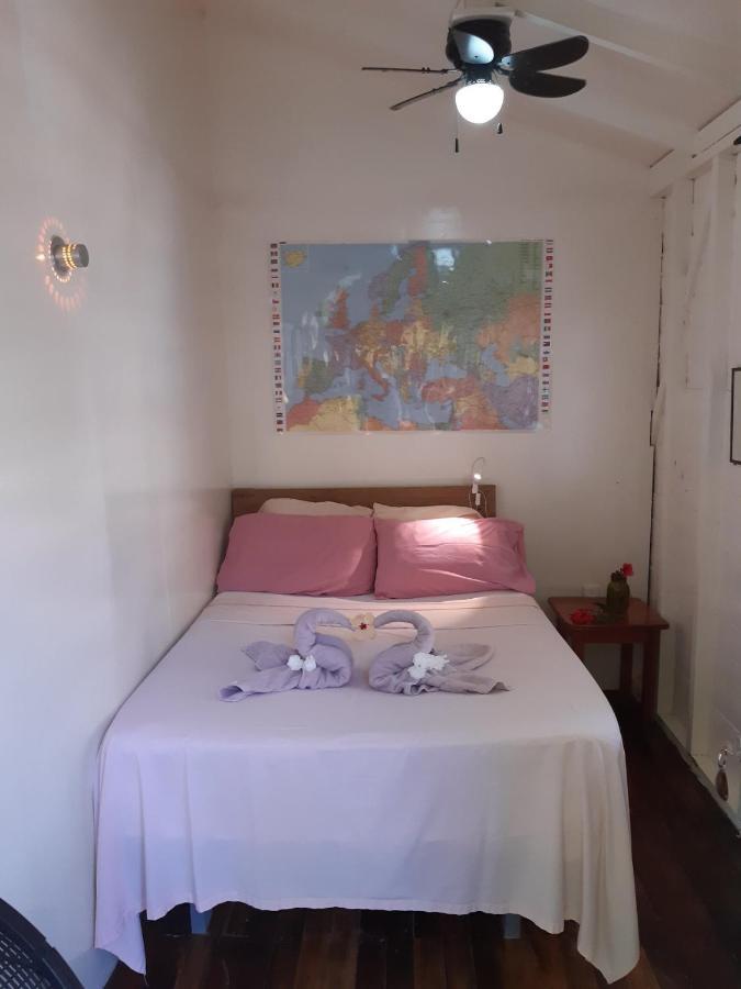 The Funky Dodo Backpackers Hostel هوبكنز المظهر الخارجي الصورة