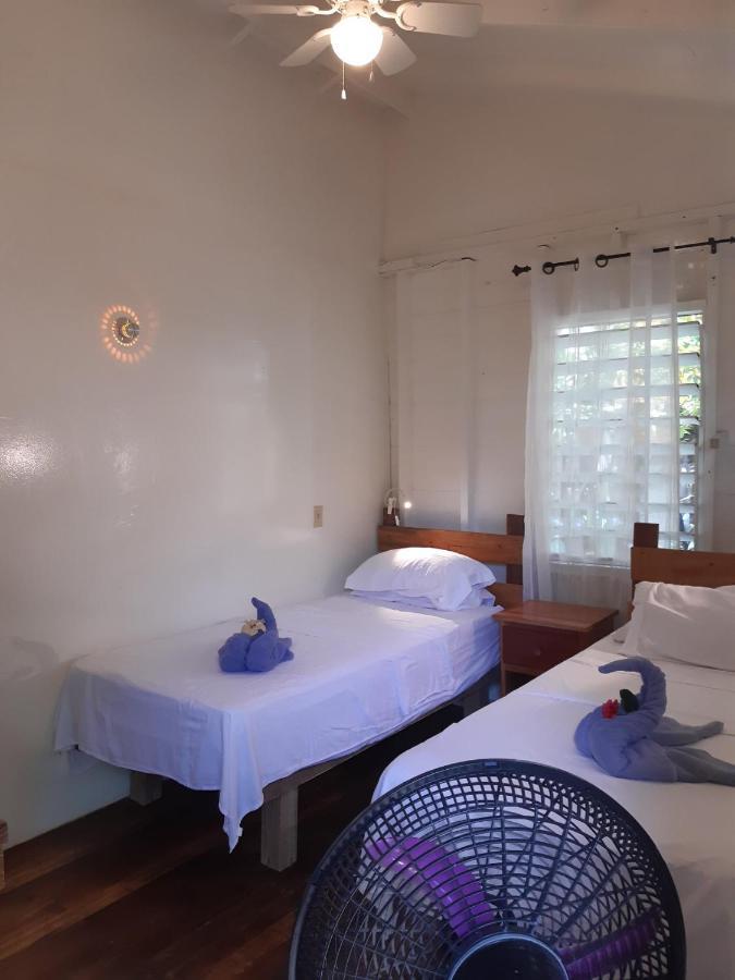 The Funky Dodo Backpackers Hostel هوبكنز المظهر الخارجي الصورة