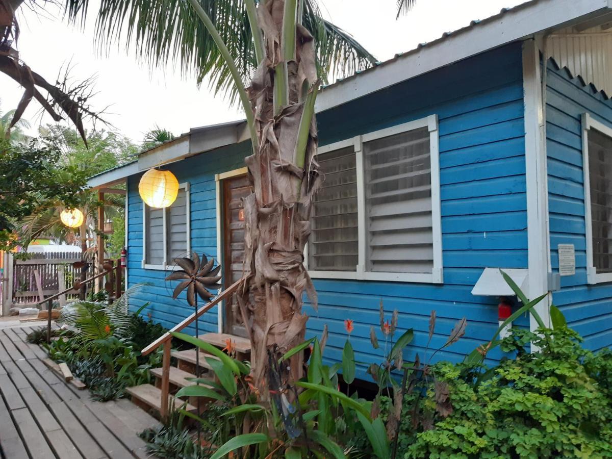 The Funky Dodo Backpackers Hostel هوبكنز المظهر الخارجي الصورة
