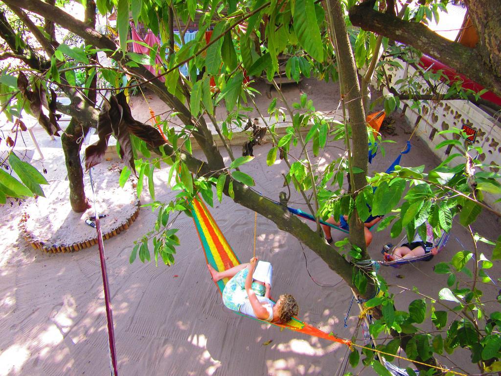 The Funky Dodo Backpackers Hostel هوبكنز المظهر الخارجي الصورة