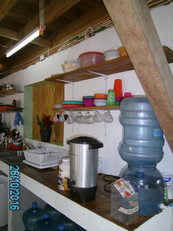 The Funky Dodo Backpackers Hostel هوبكنز المظهر الخارجي الصورة