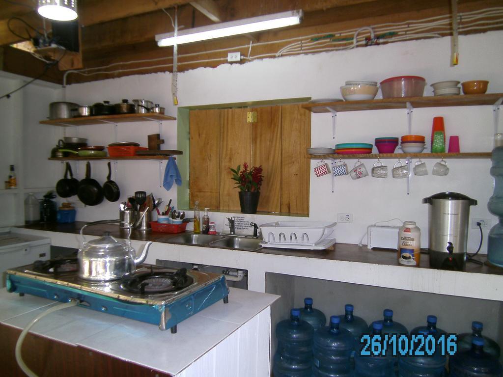 The Funky Dodo Backpackers Hostel هوبكنز المظهر الخارجي الصورة
