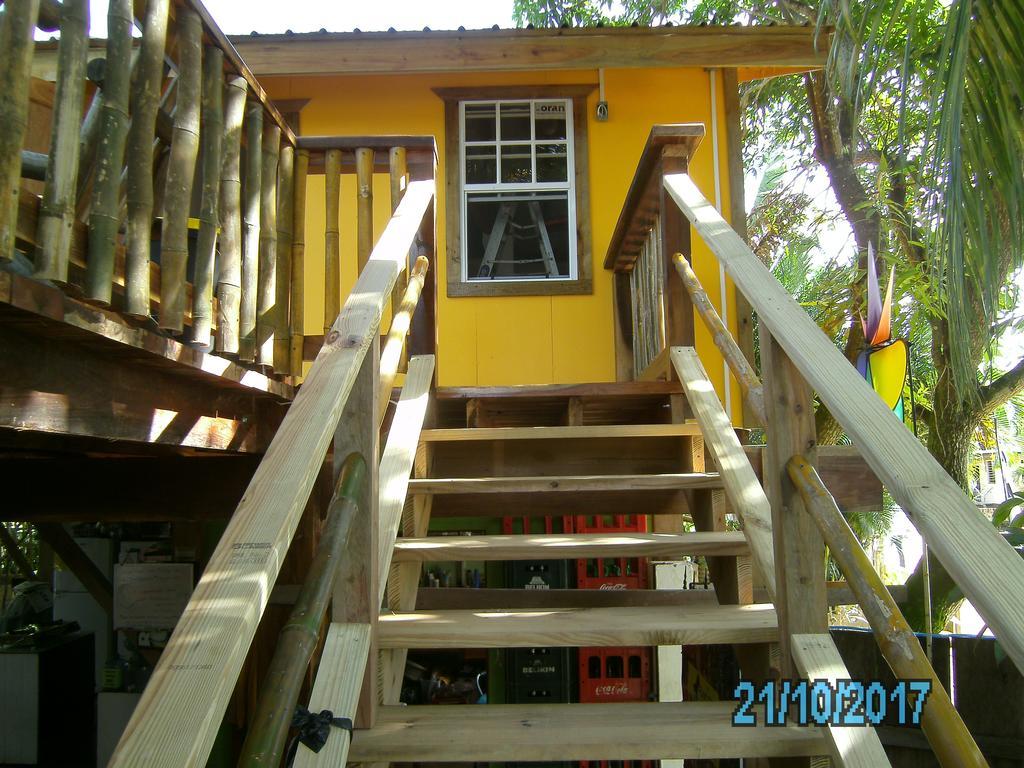 The Funky Dodo Backpackers Hostel هوبكنز المظهر الخارجي الصورة