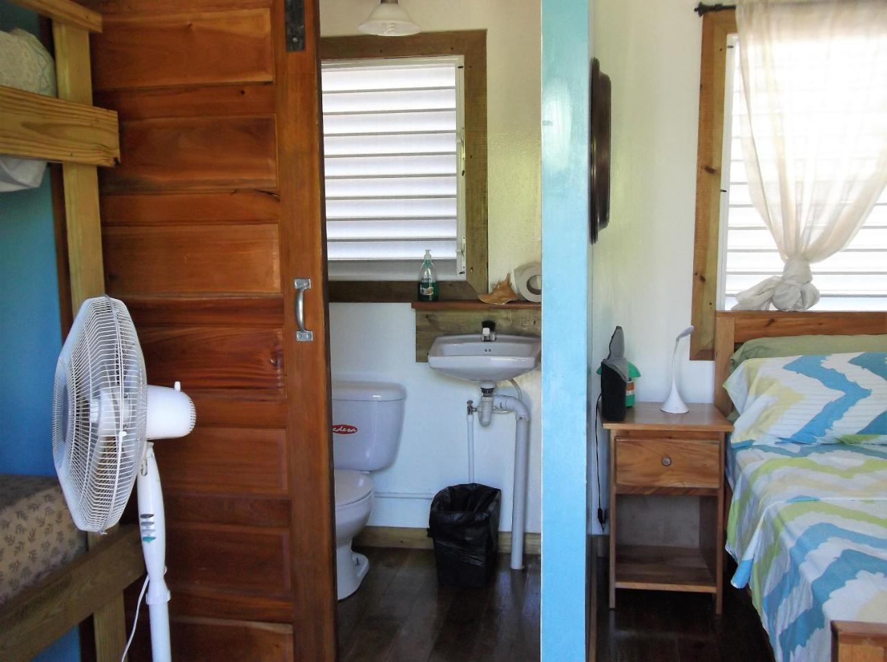 The Funky Dodo Backpackers Hostel هوبكنز المظهر الخارجي الصورة