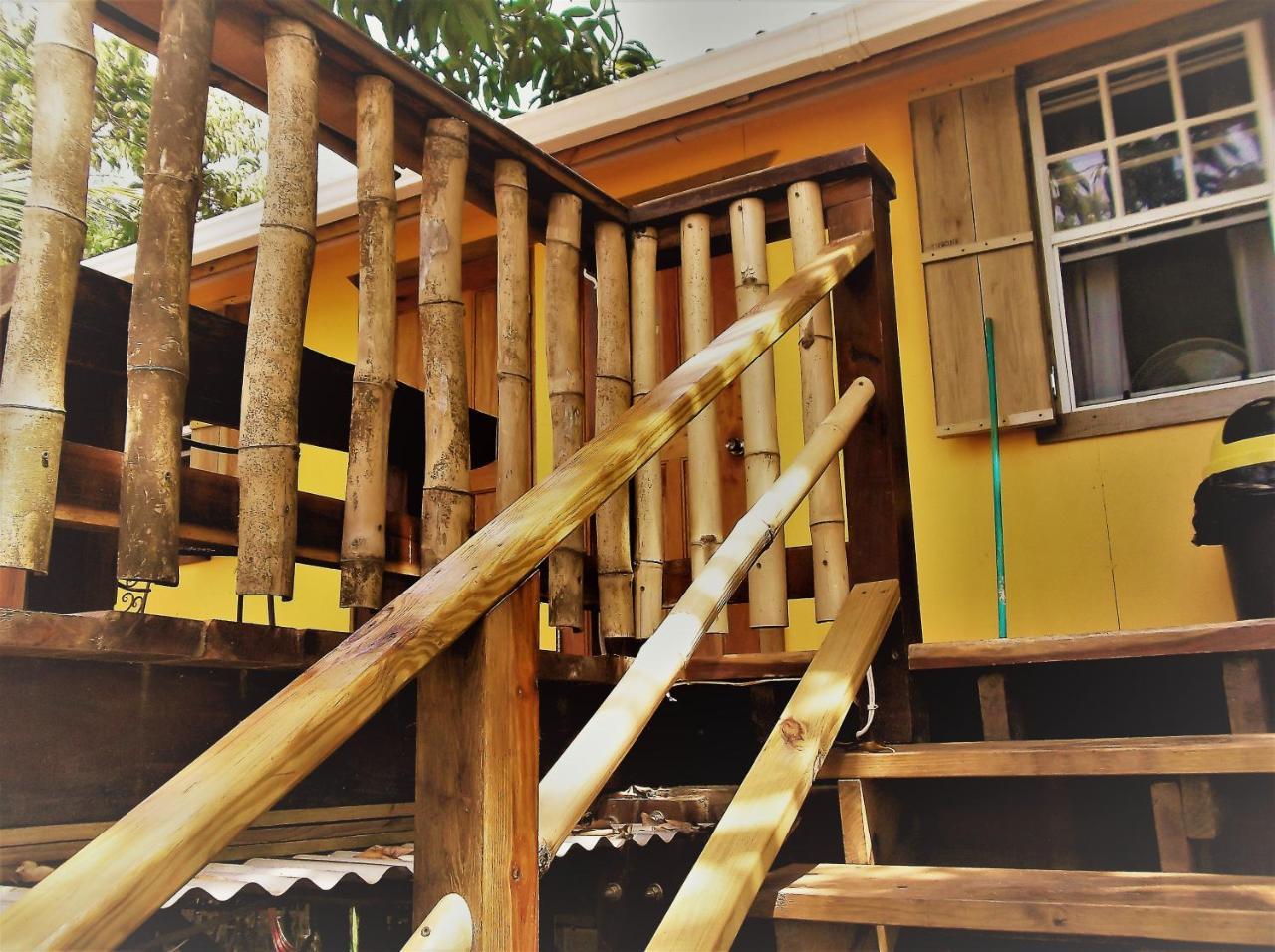 The Funky Dodo Backpackers Hostel هوبكنز المظهر الخارجي الصورة