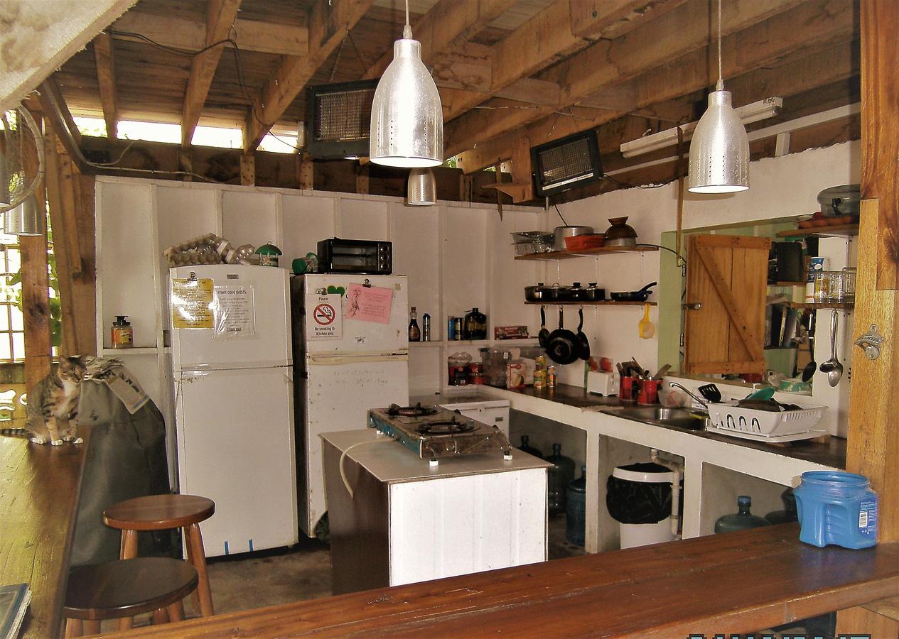 The Funky Dodo Backpackers Hostel هوبكنز المظهر الخارجي الصورة