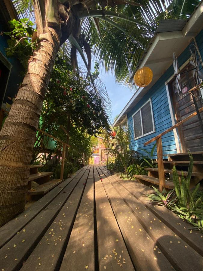 The Funky Dodo Backpackers Hostel هوبكنز المظهر الخارجي الصورة