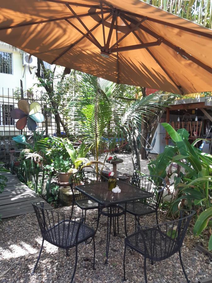 The Funky Dodo Backpackers Hostel هوبكنز المظهر الخارجي الصورة