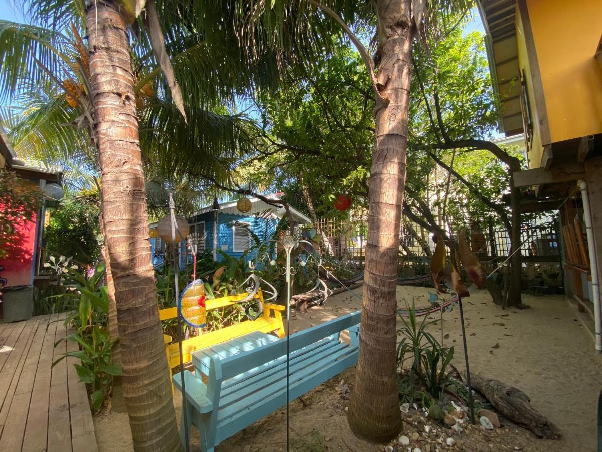 The Funky Dodo Backpackers Hostel هوبكنز المظهر الخارجي الصورة