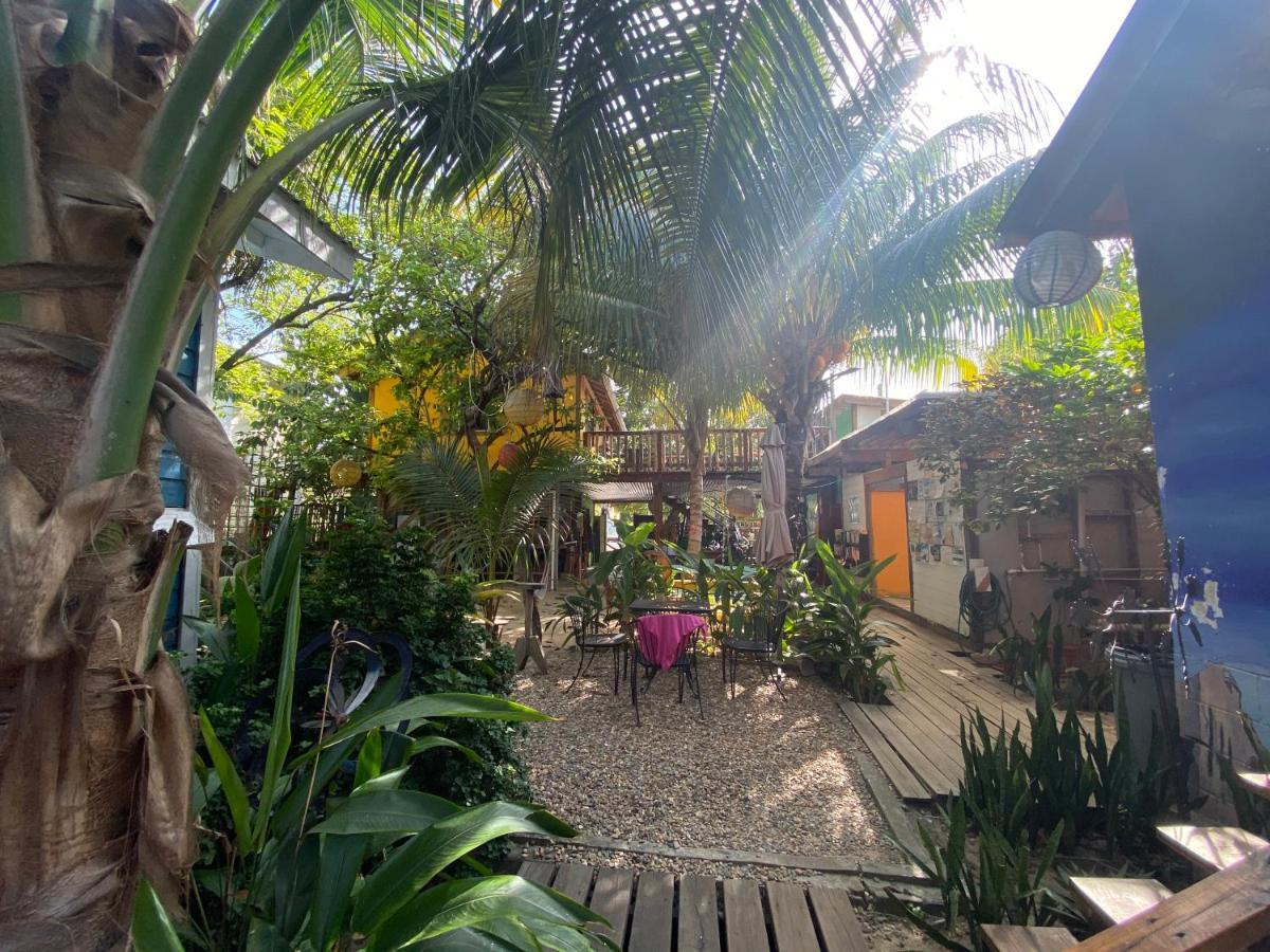 The Funky Dodo Backpackers Hostel هوبكنز المظهر الخارجي الصورة