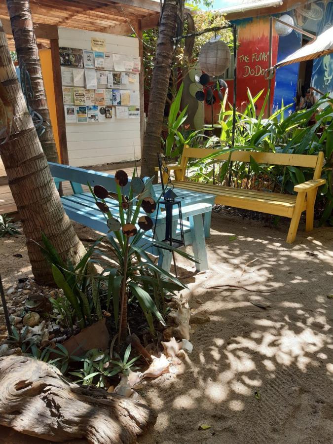 The Funky Dodo Backpackers Hostel هوبكنز المظهر الخارجي الصورة