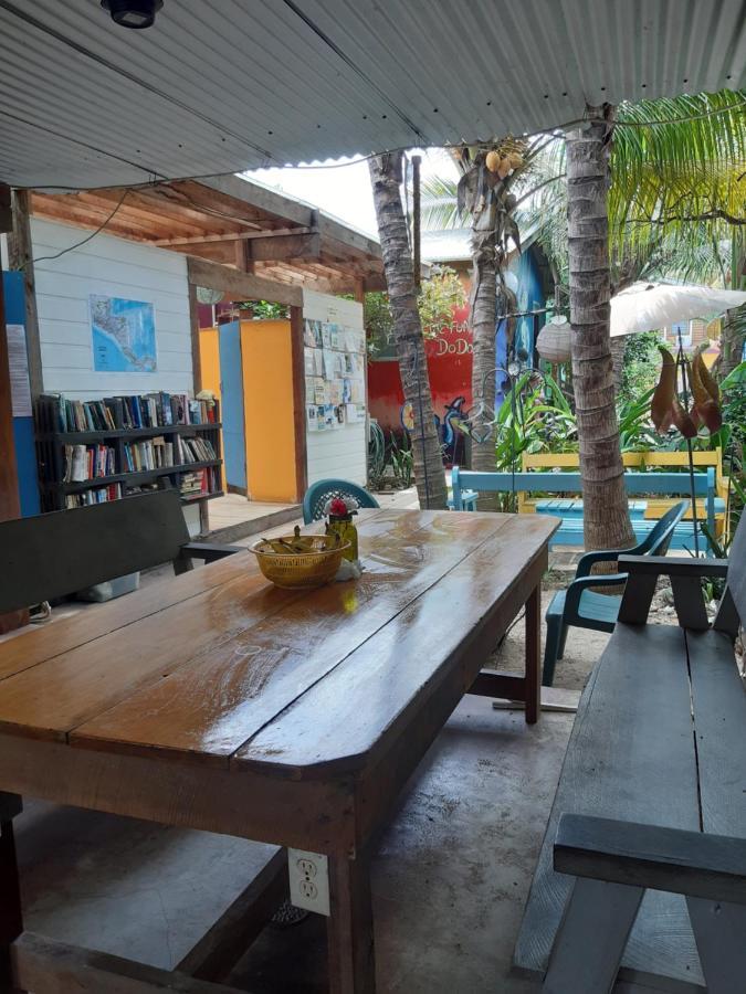 The Funky Dodo Backpackers Hostel هوبكنز المظهر الخارجي الصورة