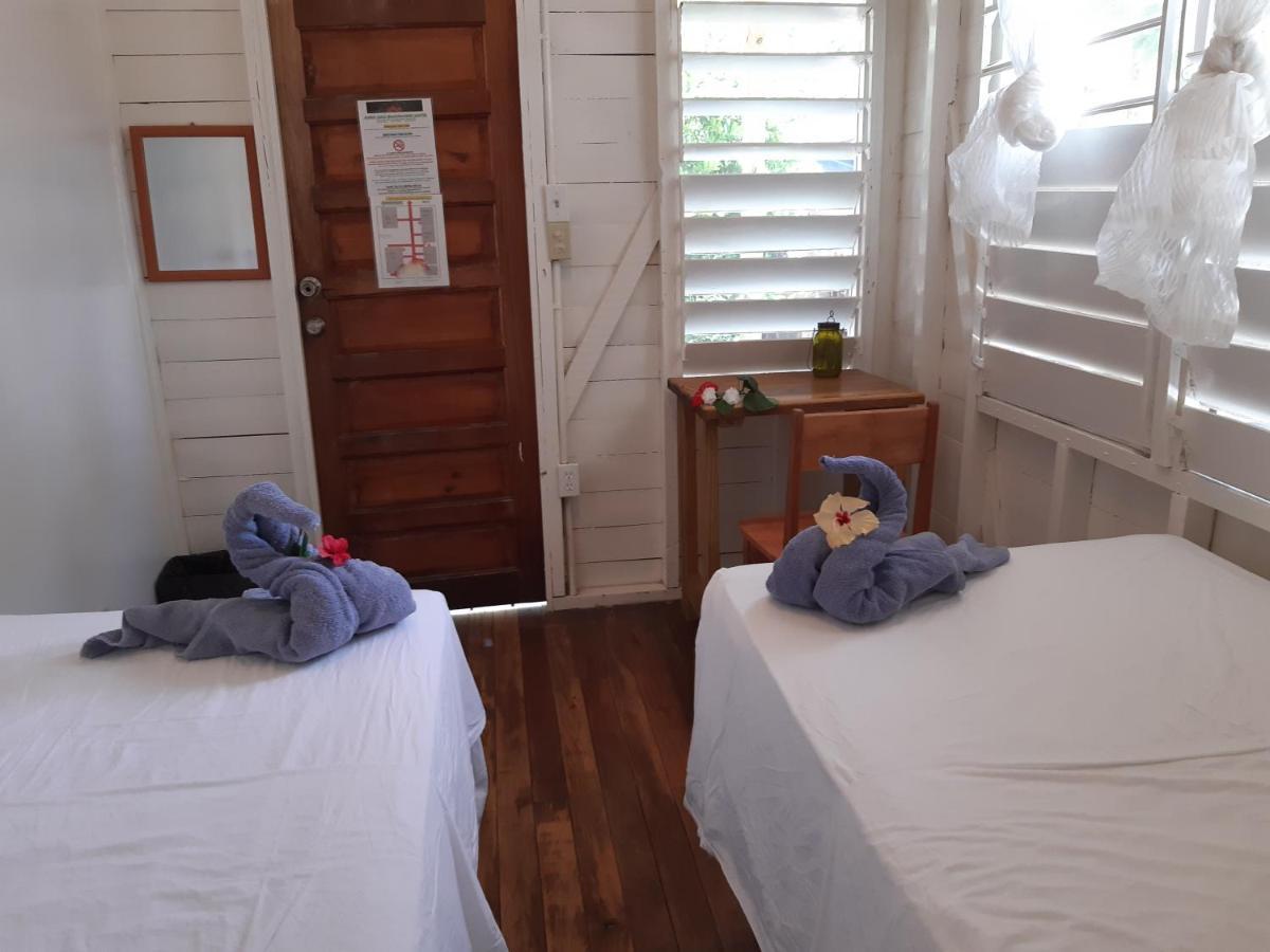 The Funky Dodo Backpackers Hostel هوبكنز المظهر الخارجي الصورة
