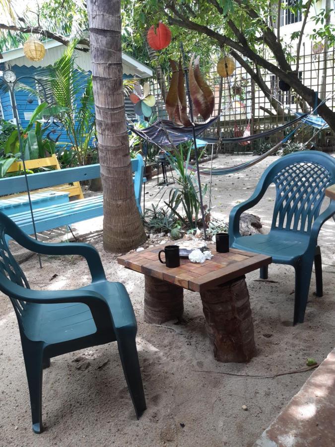 The Funky Dodo Backpackers Hostel هوبكنز المظهر الخارجي الصورة