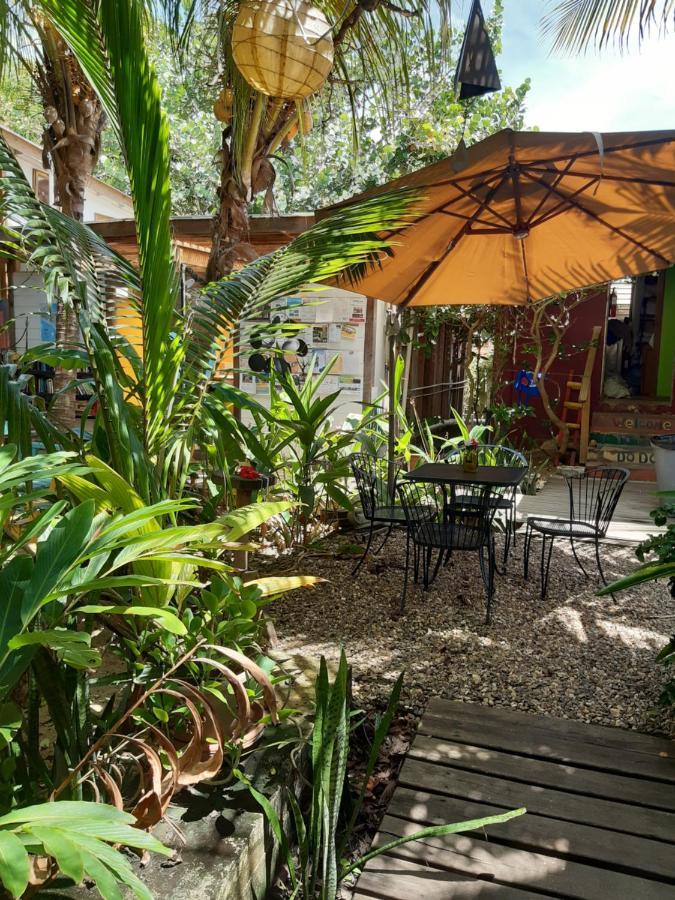 The Funky Dodo Backpackers Hostel هوبكنز المظهر الخارجي الصورة